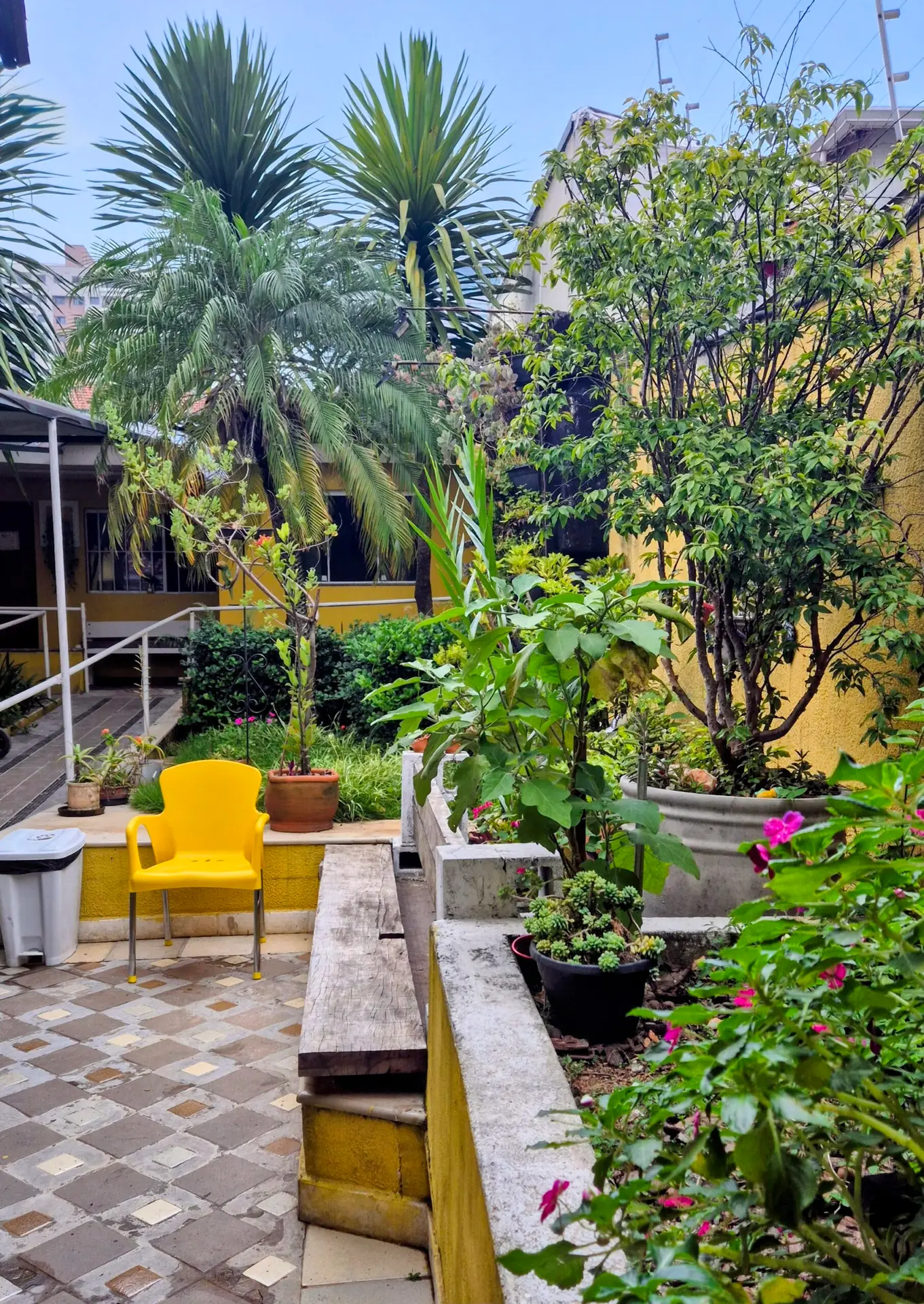 Ambiente Mar de Olivas
